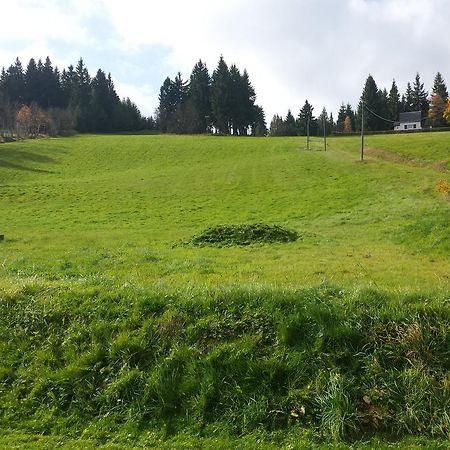 Ferienhaus Am Skihang Altenberg  Exteriér fotografie